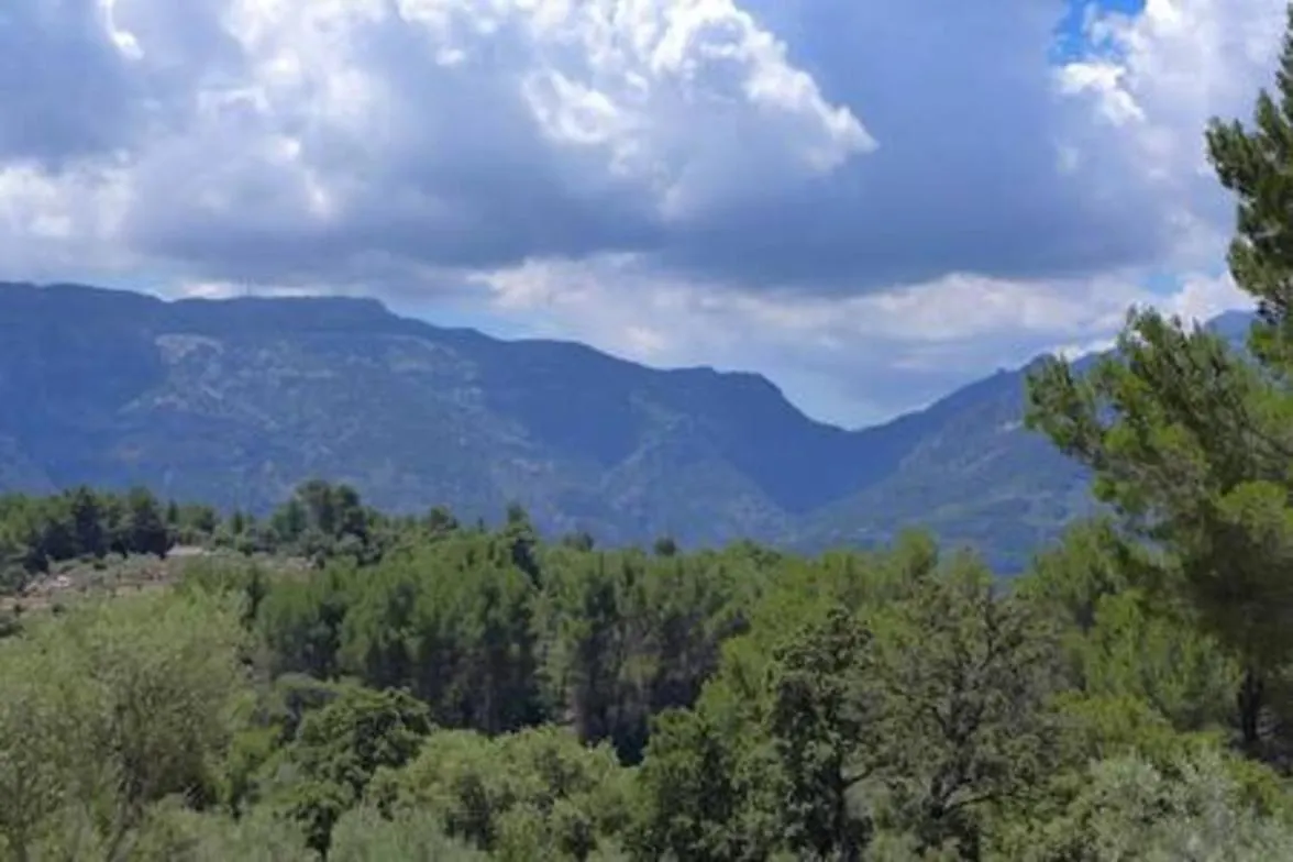 Villa Es Mirador Fornalutx Ferienhaus